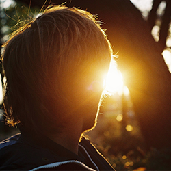 网络电话在线发送